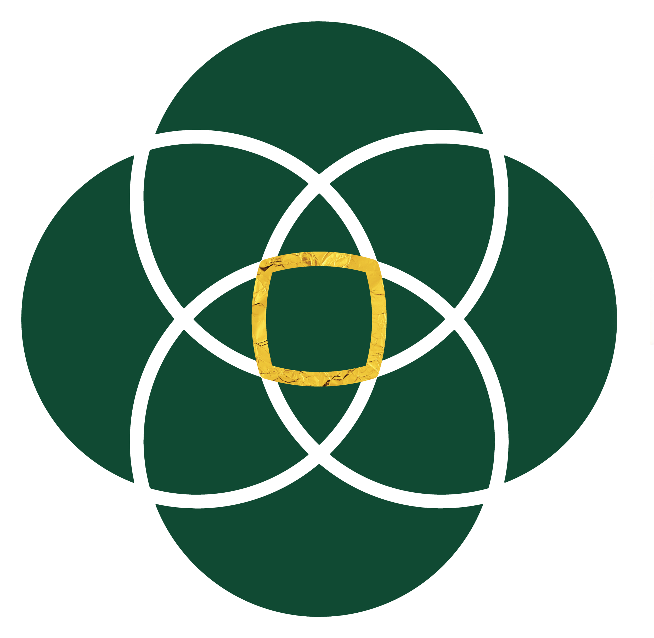 Logo Ikigai Ufficio Sicurezza